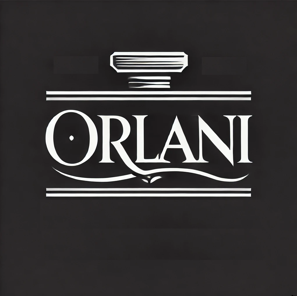 Orlani Noir Elixir Perfume for Men, 3.4 fl oz, Eau De Parfum